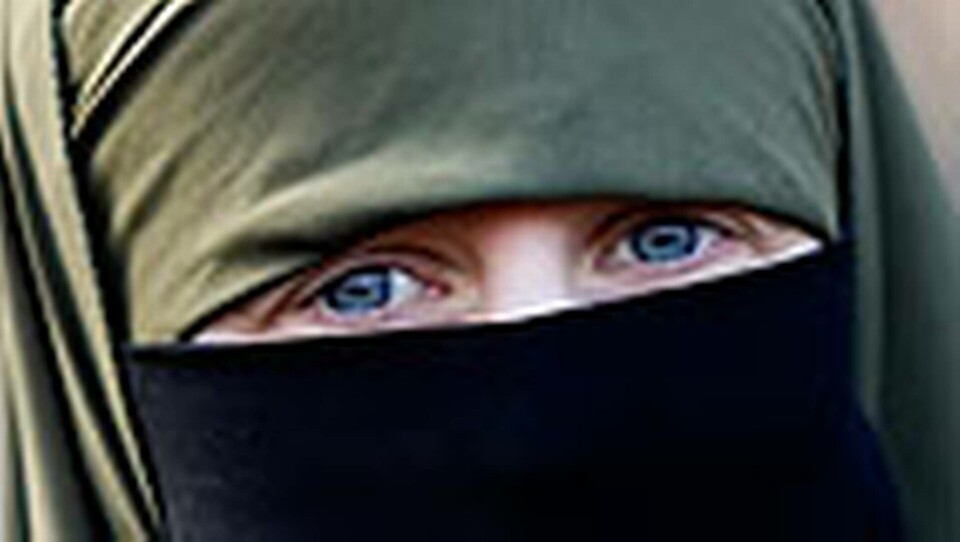 Kvinnan på bilden bär en niqab, en ogenomskinlig slöja. Foto: Fred Ernst/AP Photo/Scanpix