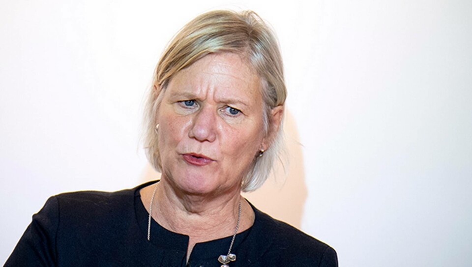 Regeringens utredare Ann-Marie Begler föreslår en ny myndighet Foto: Johan Nilsson/TT