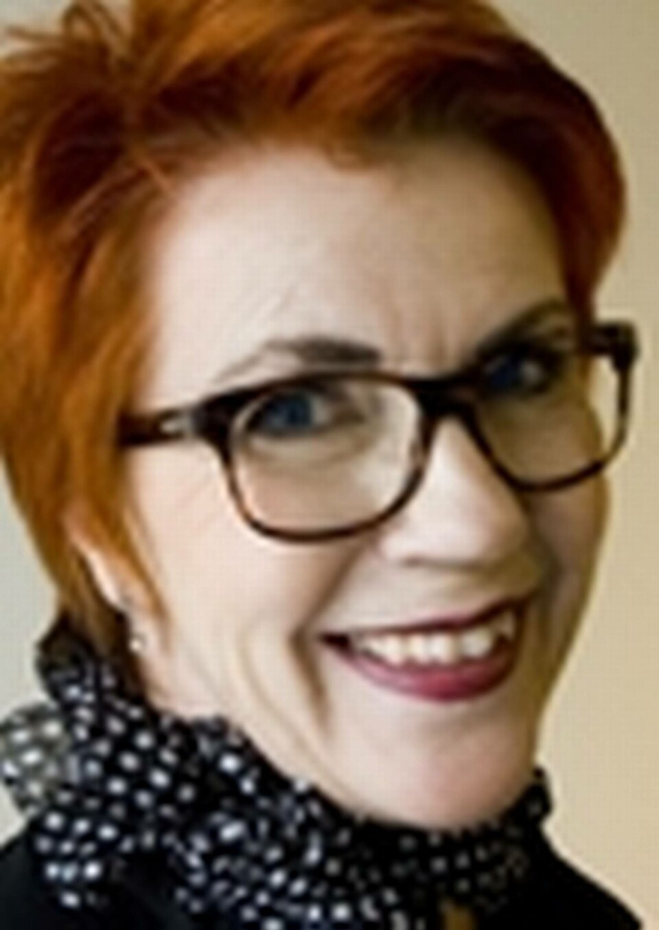 Kerstin Ahlberg utreder utstationering