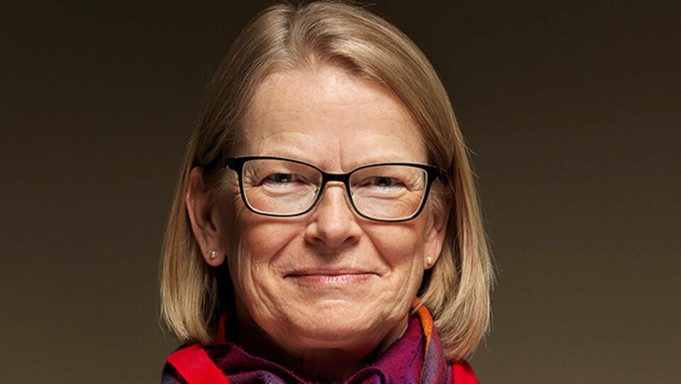 Anna Skarhed, justitiekansler, JK.